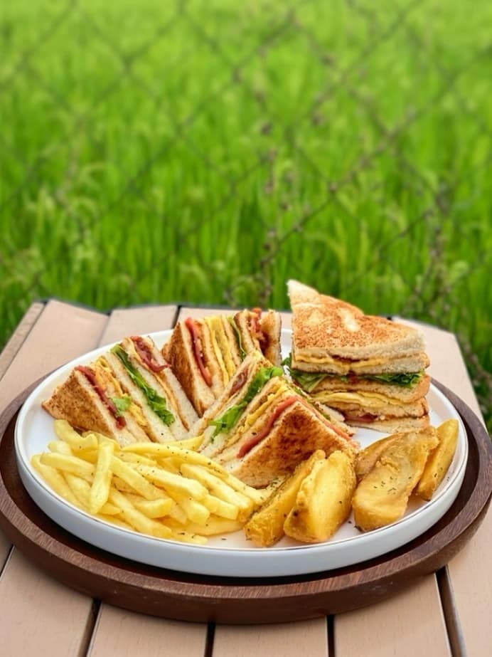 Special Clubhouse Sandwich